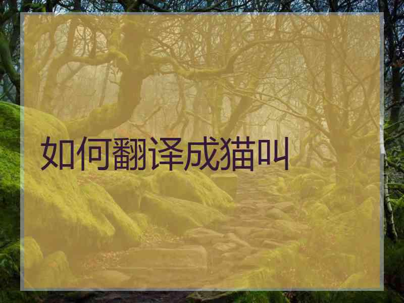 如何翻译成猫叫