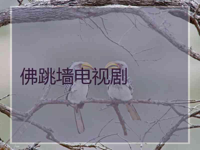 佛跳墙电视剧