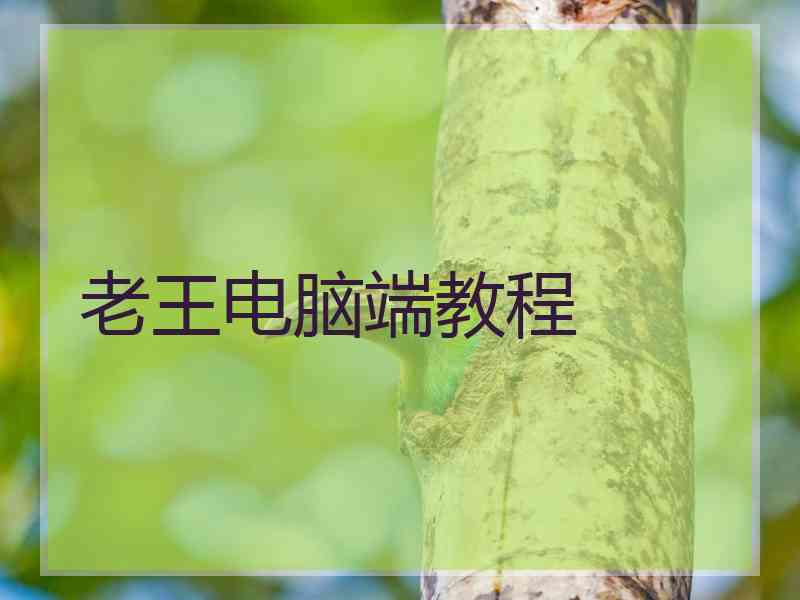 老王电脑端教程
