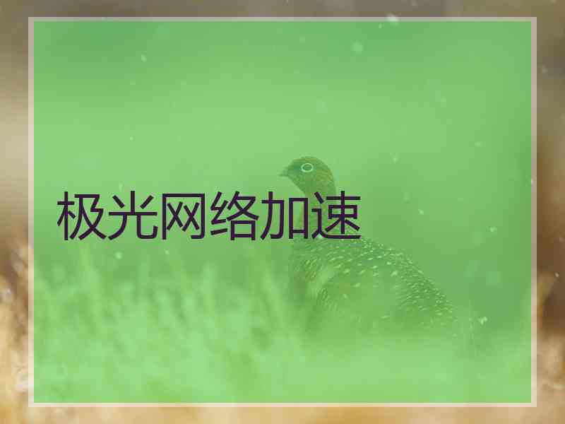 极光网络加速