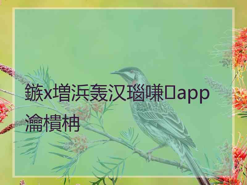 鏃х増浜轰汉瑙嗛app瀹樻柟