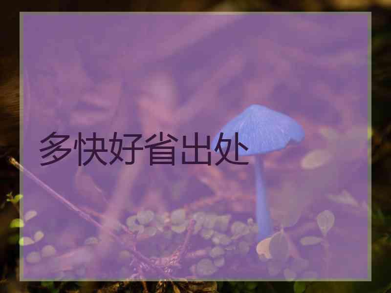 多快好省出处