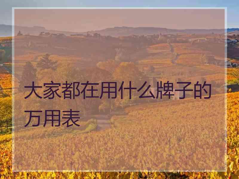 大家都在用什么牌子的万用表