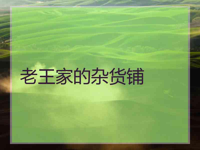 老王家的杂货铺