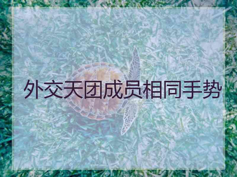 外交天团成员相同手势