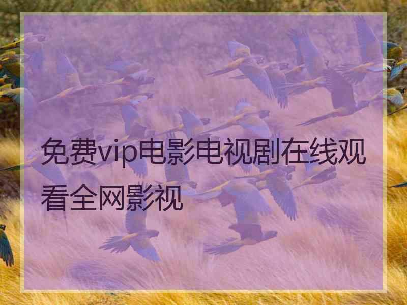 免费vip电影电视剧在线观看全网影视