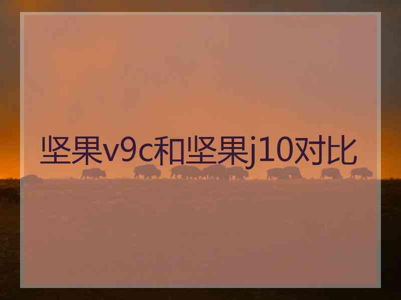 坚果v9c和坚果j10对比