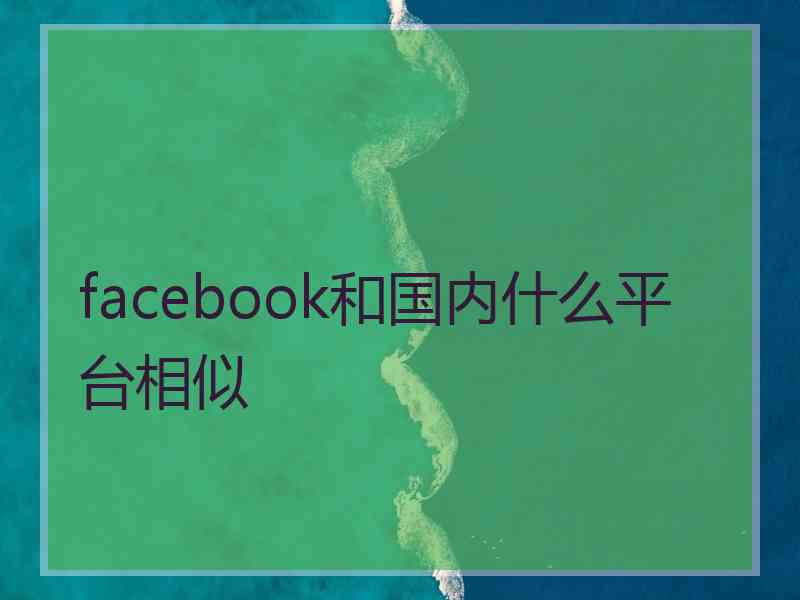 facebook和国内什么平台相似