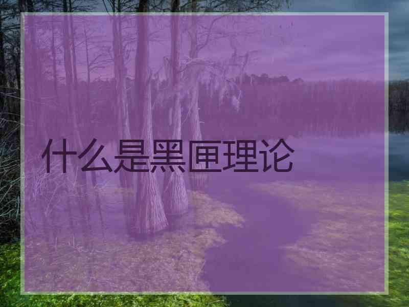 什么是黑匣理论