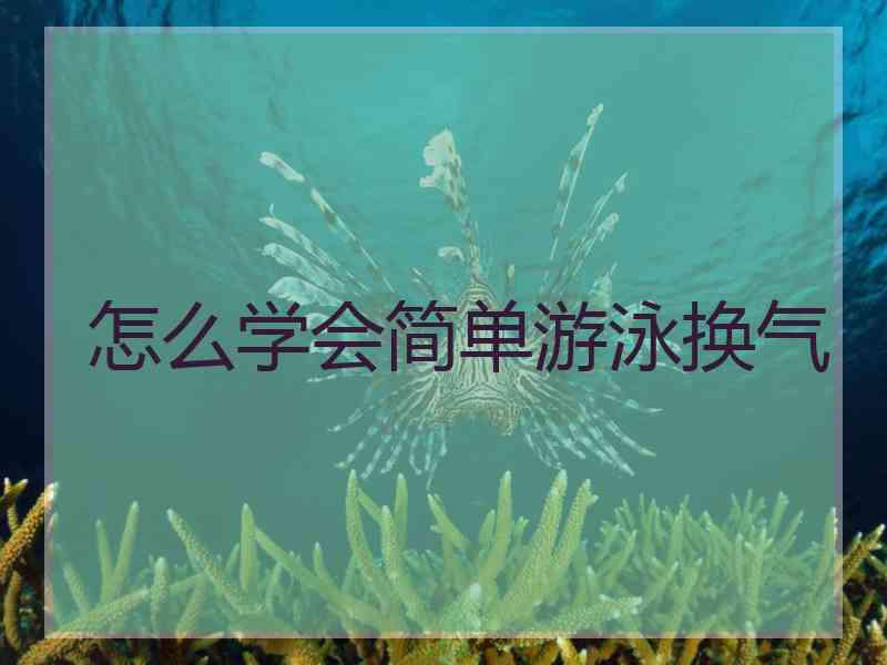 怎么学会简单游泳换气