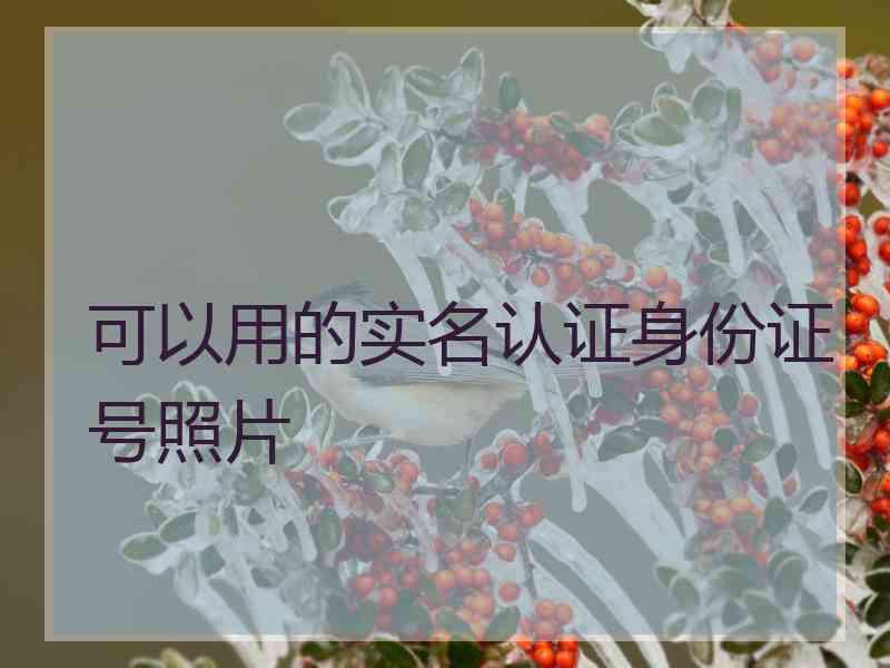 可以用的实名认证身份证号照片