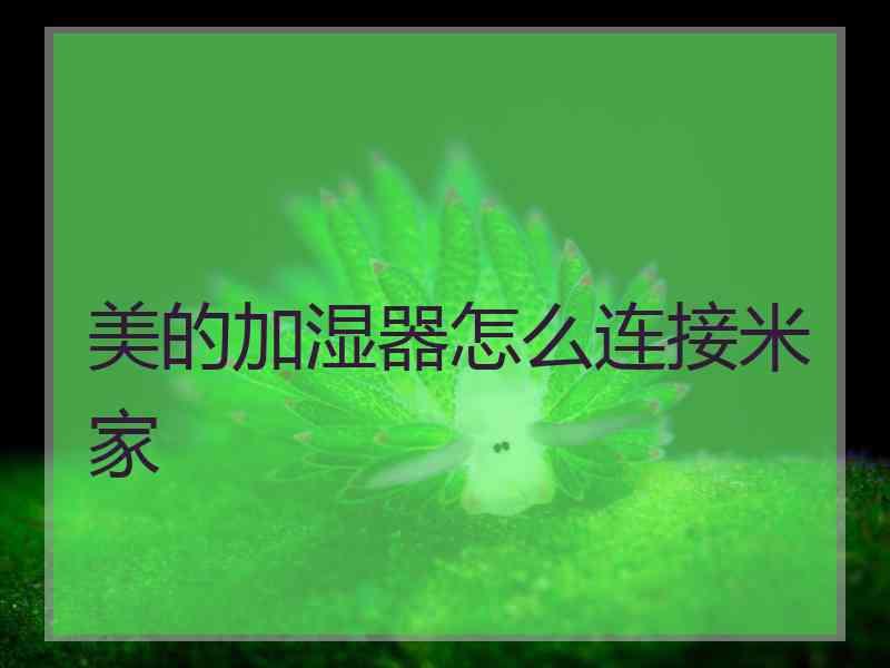 美的加湿器怎么连接米家