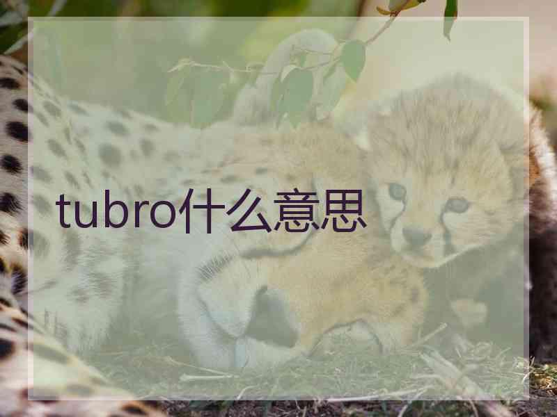 tubro什么意思