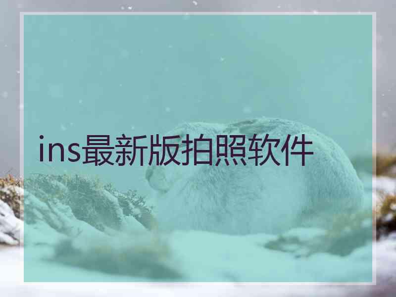 ins最新版拍照软件
