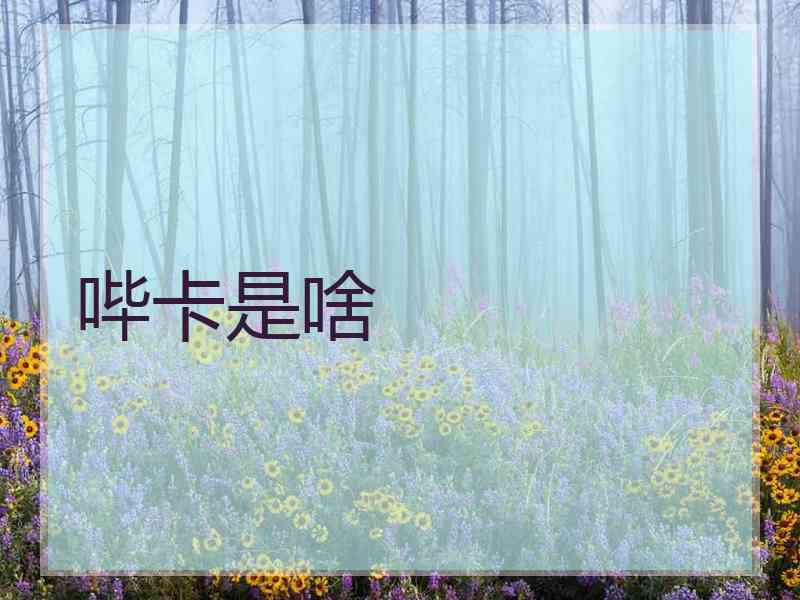 哔卡是啥