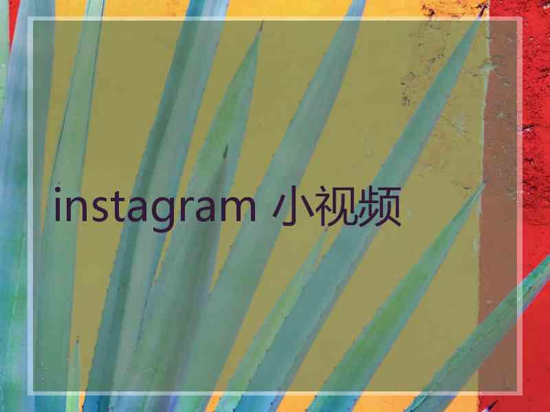 instagram 小视频