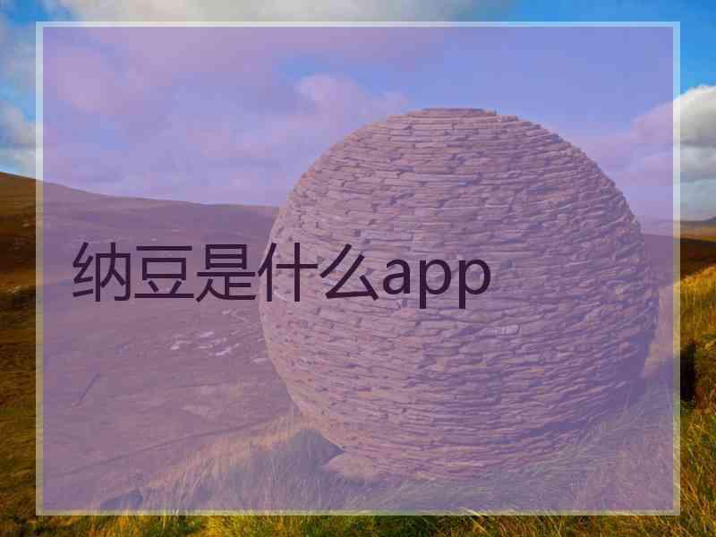 纳豆是什么app