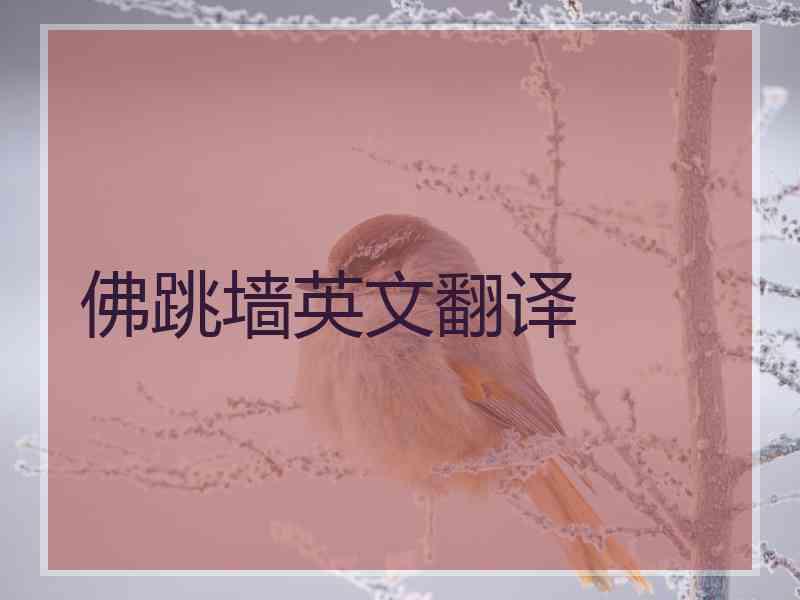 佛跳墙英文翻译
