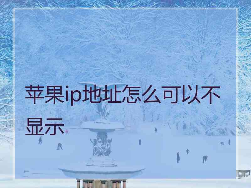 苹果ip地址怎么可以不显示