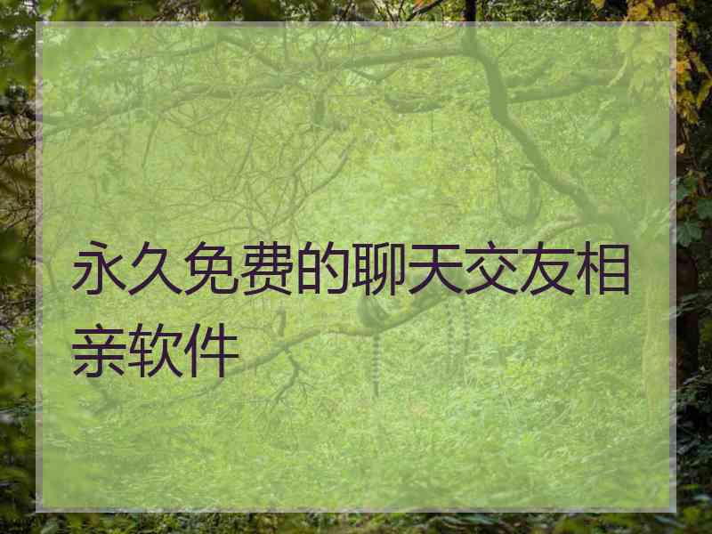 永久免费的聊天交友相亲软件