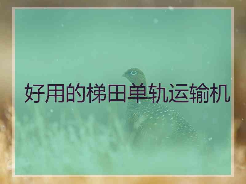 好用的梯田单轨运输机