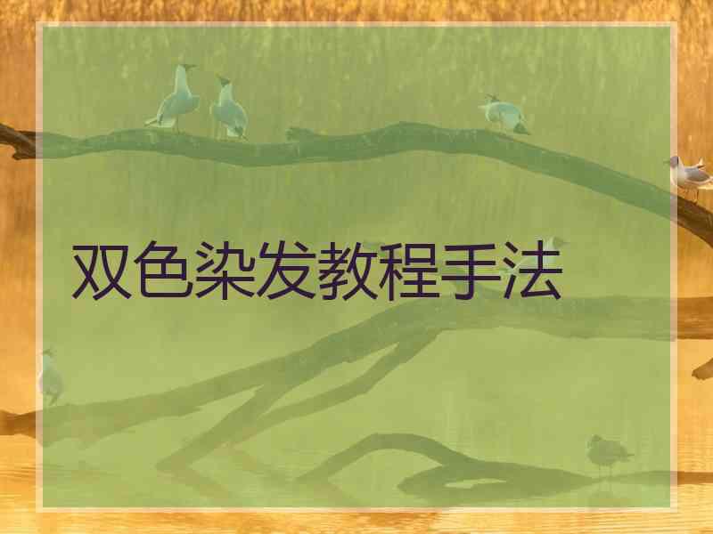 双色染发教程手法