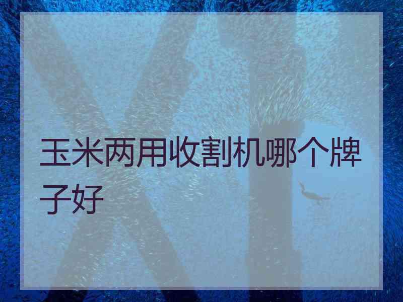 玉米两用收割机哪个牌子好