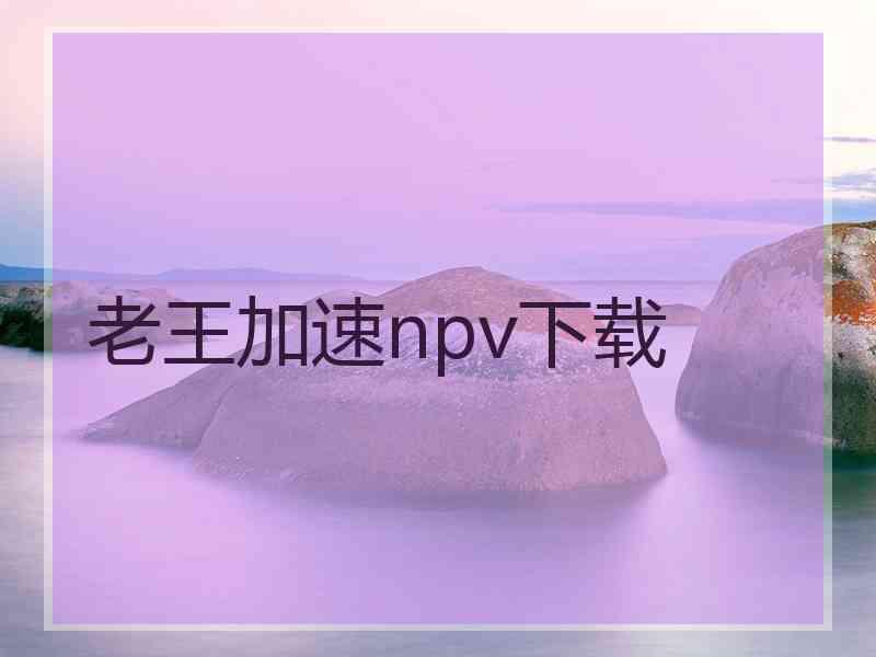 老王加速npv下载