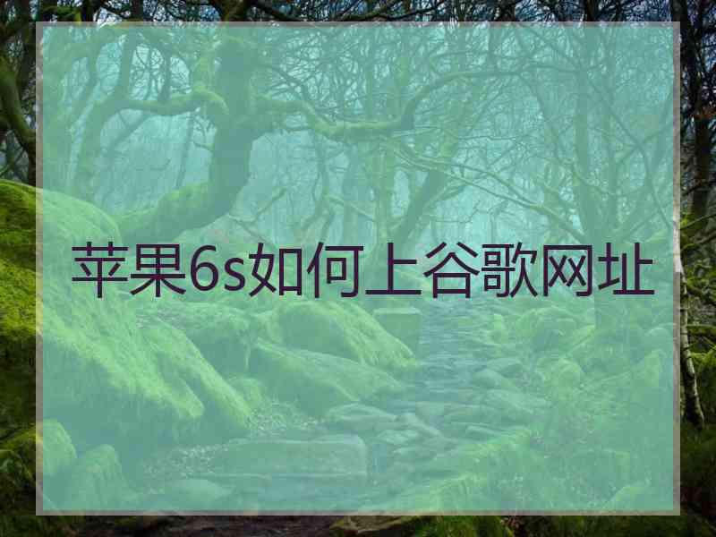 苹果6s如何上谷歌网址