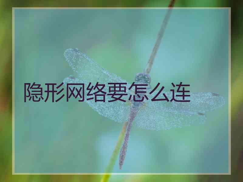 隐形网络要怎么连