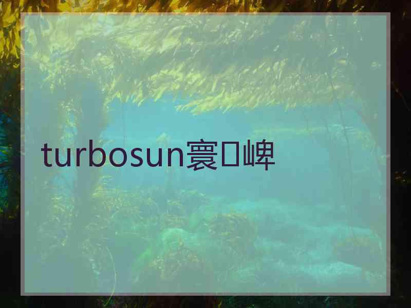turbosun寰崥