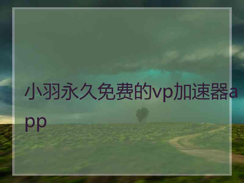 小羽永久免费的vp加速器app