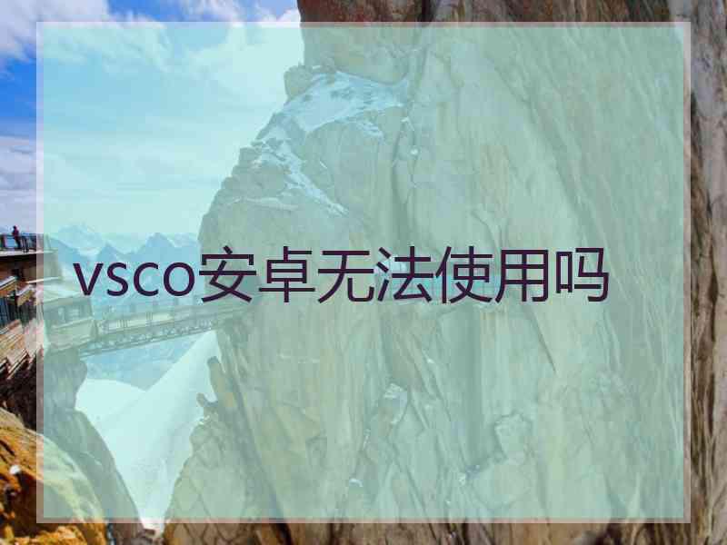 vsco安卓无法使用吗