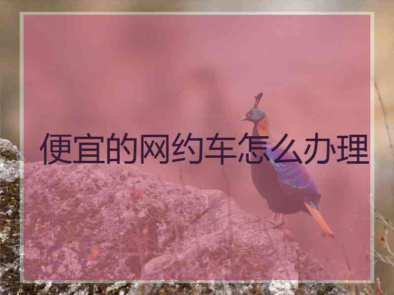 便宜的网约车怎么办理