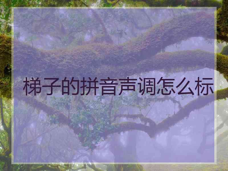 梯子的拼音声调怎么标