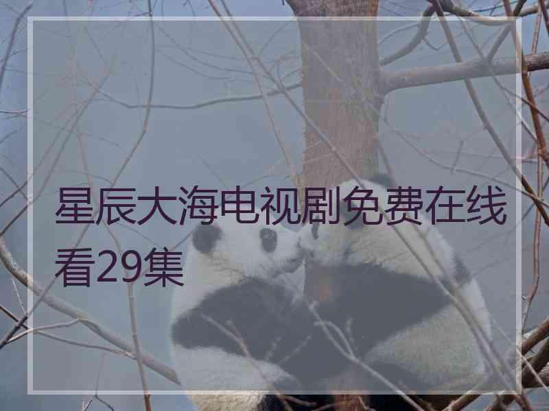 星辰大海电视剧免费在线看29集