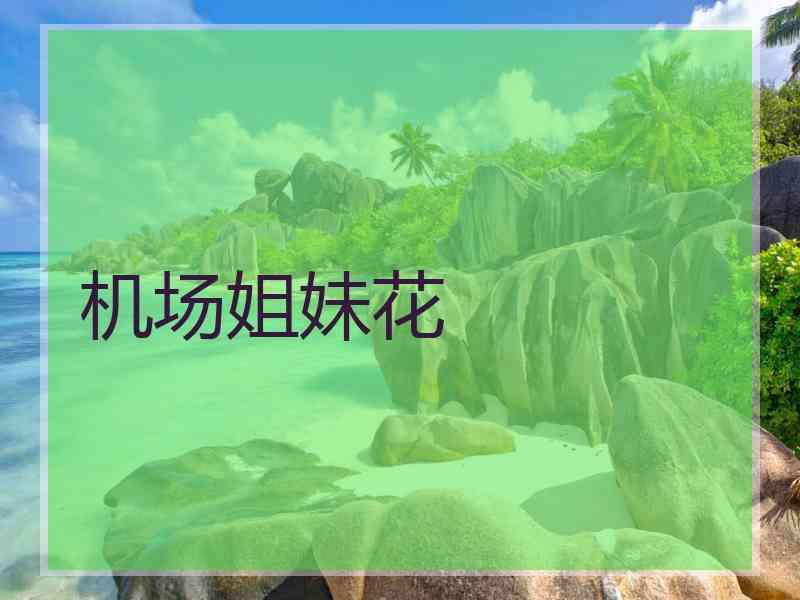 机场姐妹花