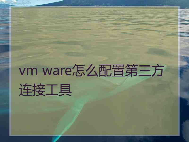 vm ware怎么配置第三方连接工具