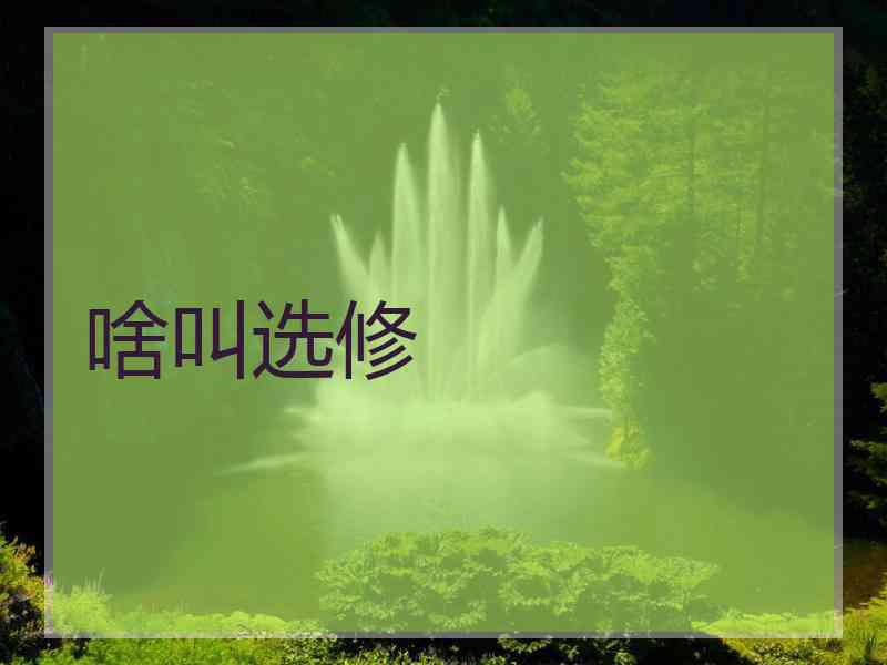 啥叫选修