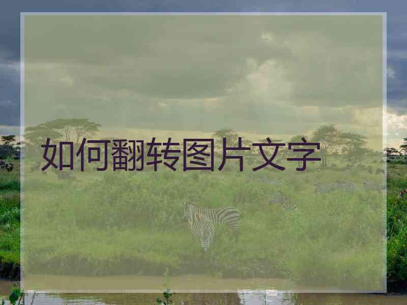 如何翻转图片文字
