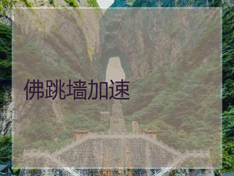 佛跳墙加速
