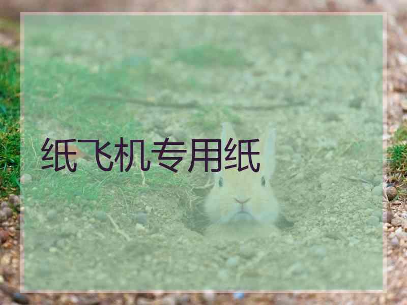 纸飞机专用纸