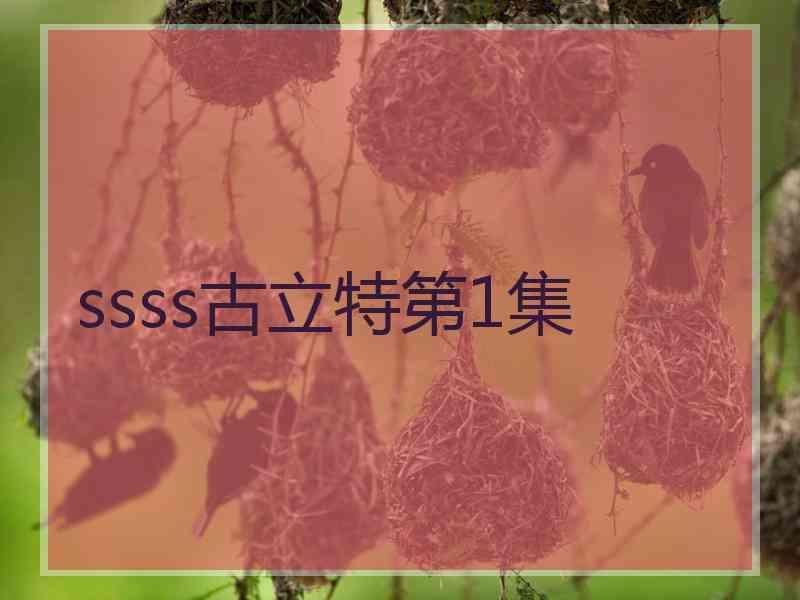 ssss古立特第1集