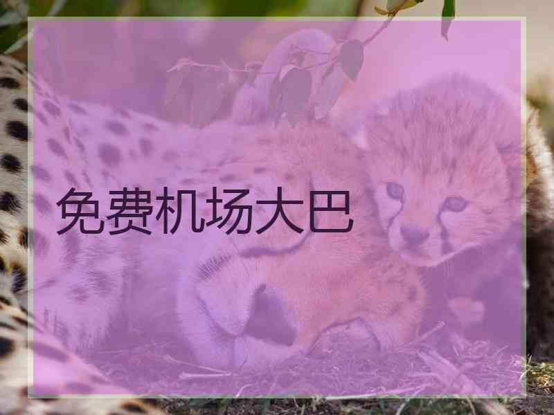 免费机场大巴