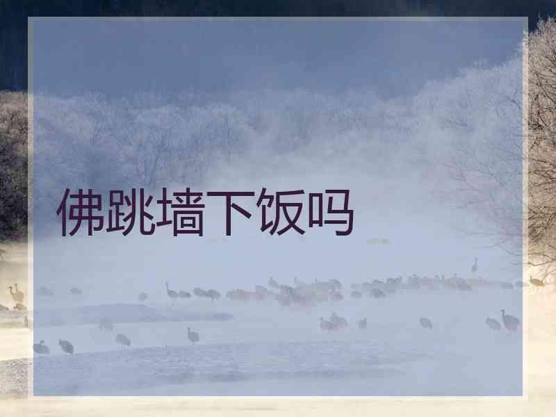 佛跳墙下饭吗