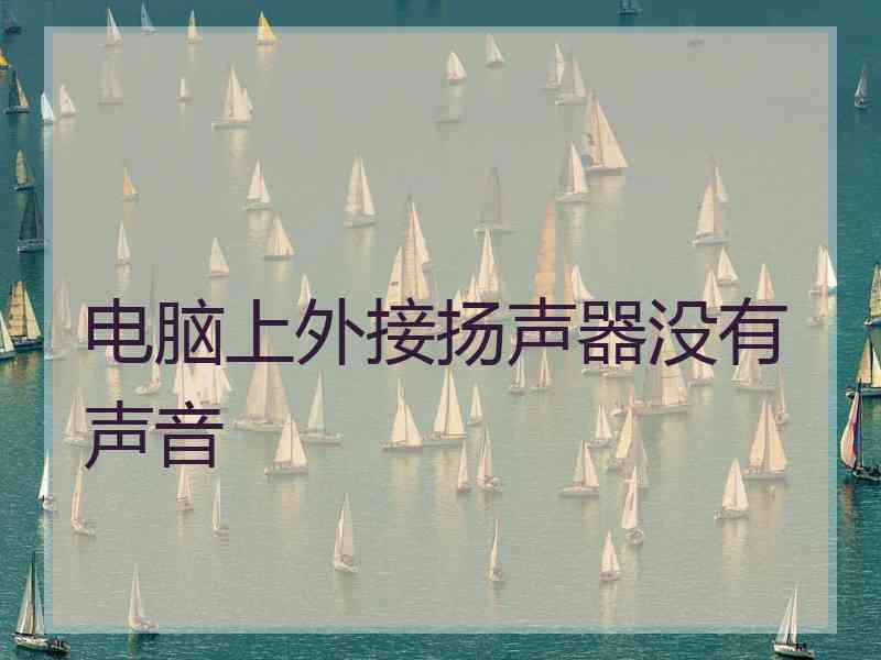 电脑上外接扬声器没有声音