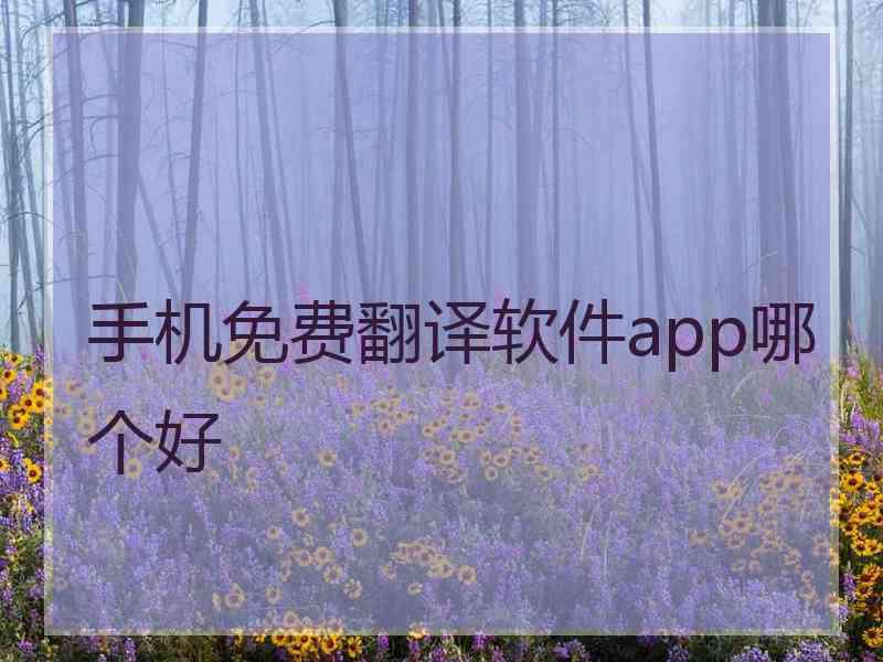 手机免费翻译软件app哪个好
