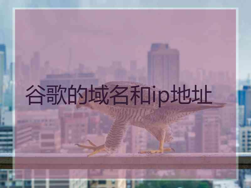 谷歌的域名和ip地址