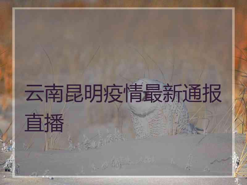 云南昆明疫情最新通报直播