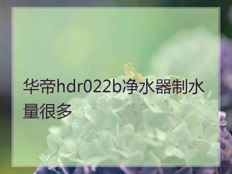 华帝hdr022b净水器制水量很多